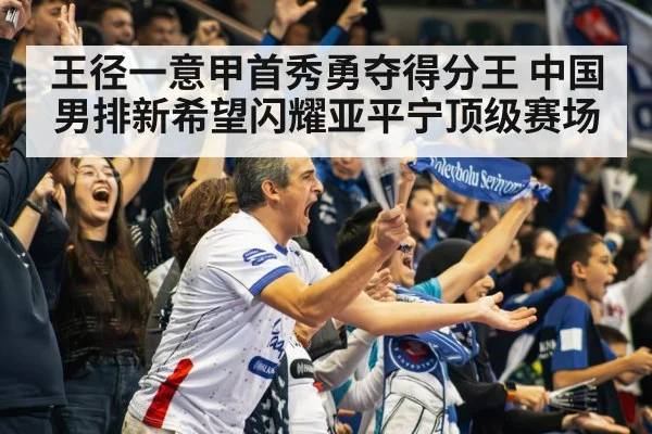 volleyball stadium crowd